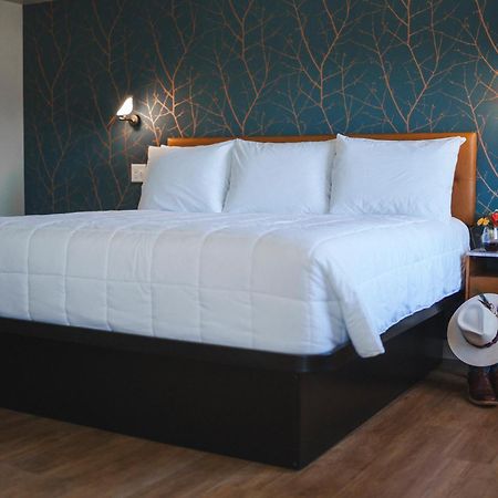 City Center Motel Hamilton Екстериор снимка